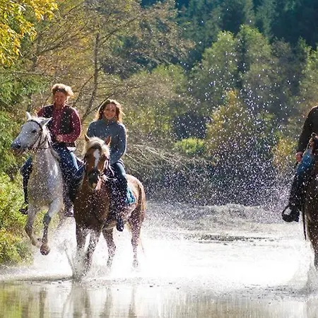 Gasthof Zauchtaler Hof Altenmarkt im Pongau